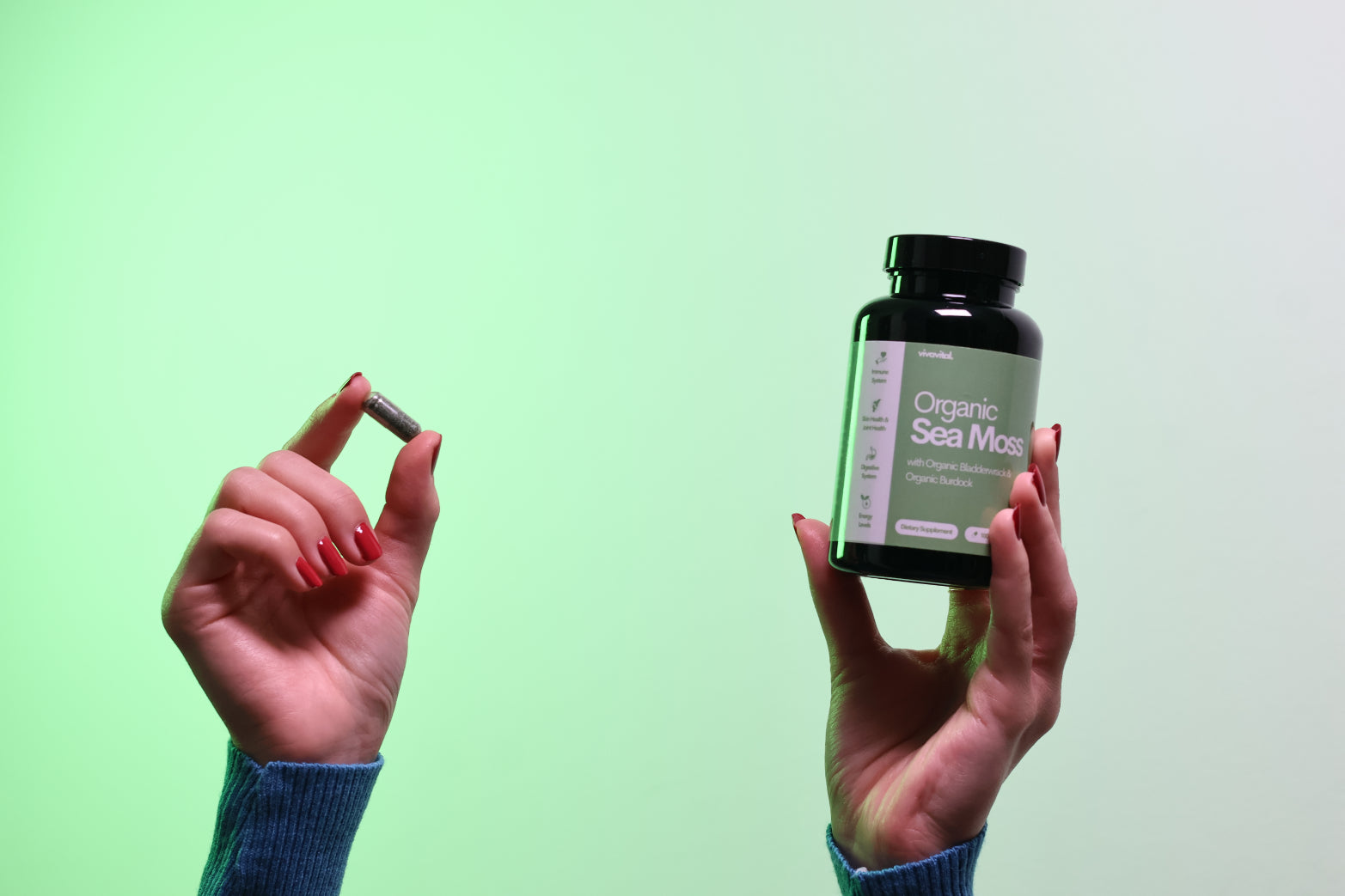 Sea Moss Capsules (60 Capsules)